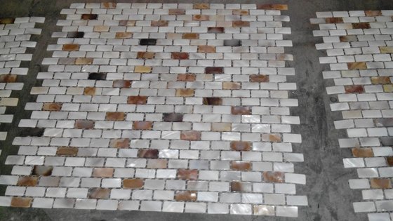 High-Demand Mother of Pearl Tiles in Mixed Finishes