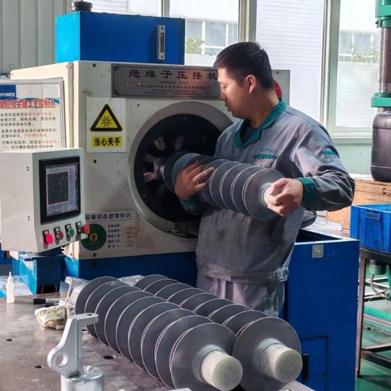 Line Insulators-Electrical Insulating Components for Power Transmission-Manufacturer