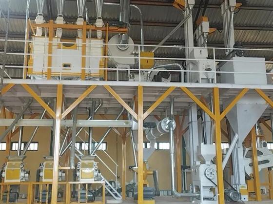 Nigeria 10–20 TPD Steel Frame Maize Mill Plant – Complete Grain Processing Line – Factory Price