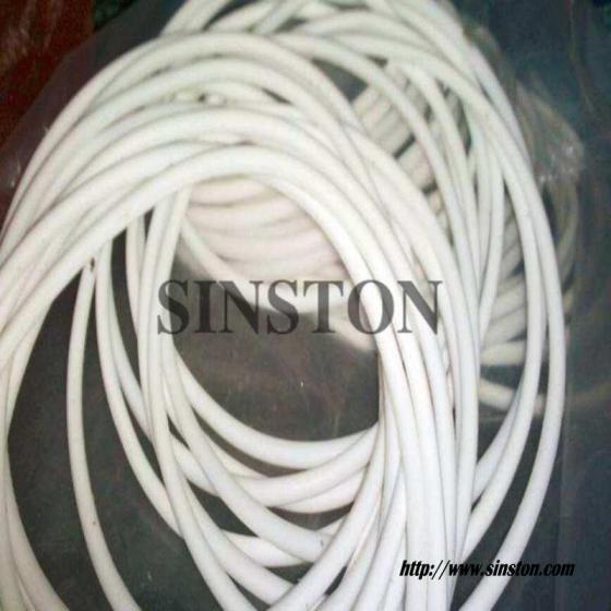 PTFE O-Ring