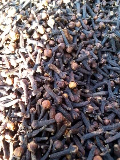 Top-Quality Whole Cloves Bulk New Crop Seasoning Dried Clove Stems – Food Spice Ingredient – Wholesale